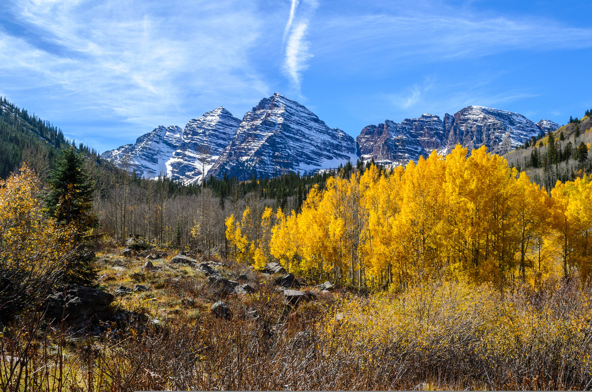 Fall Foliage in front of the Maroon Bells in Aspen, CO