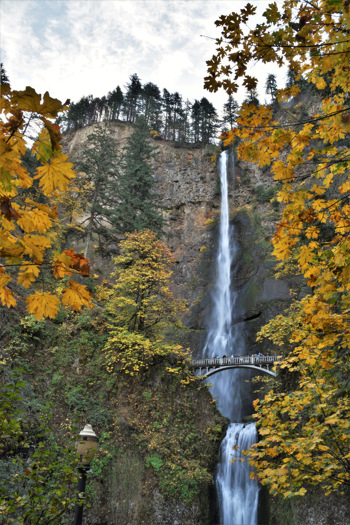 Multnomah falls Oregon