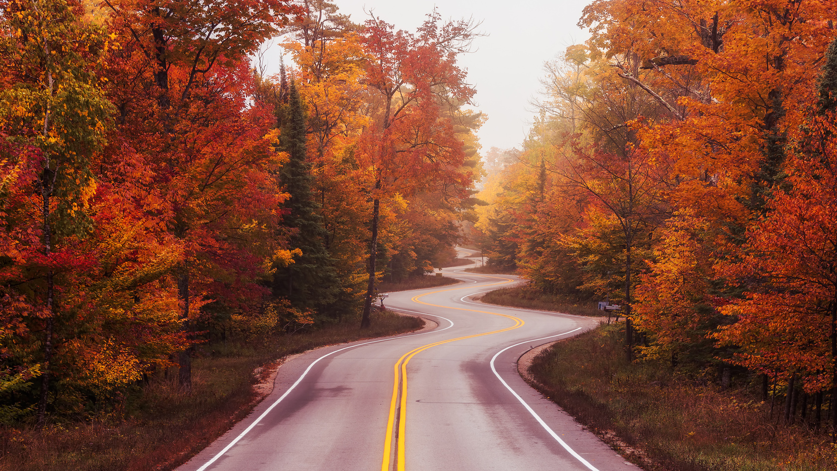 Winding Road in Door County in Fall