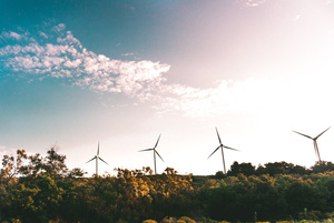 Windmill Near Green Trees